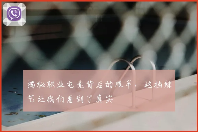 揭秘职业电竞背后的艰辛,这档综艺让我们看到了真实