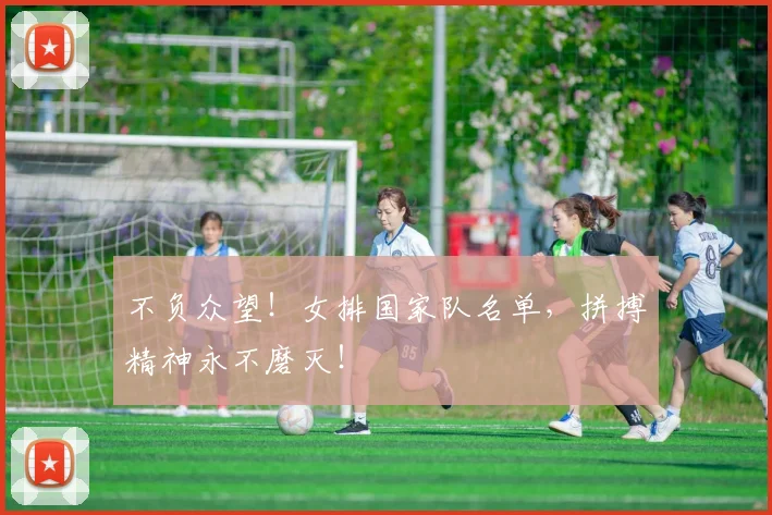 不负众望!女排国家队名单,拼搏精神永不磨灭!