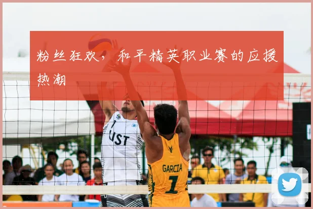 粉丝狂欢,和平精英职业赛的应援热潮