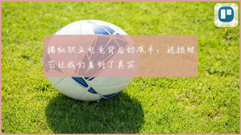 揭秘职业电竞背后的艰辛,这档综艺让我们看到了真实